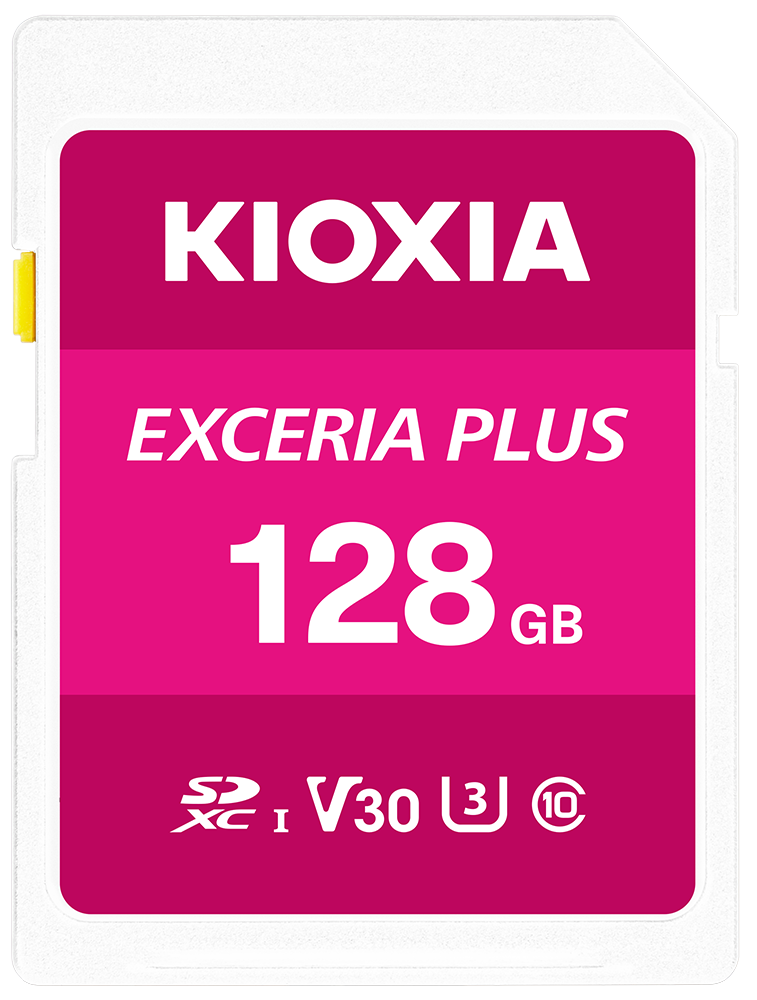 KIOXIA EXCERIA PLUS (LNPL1M128GG4)