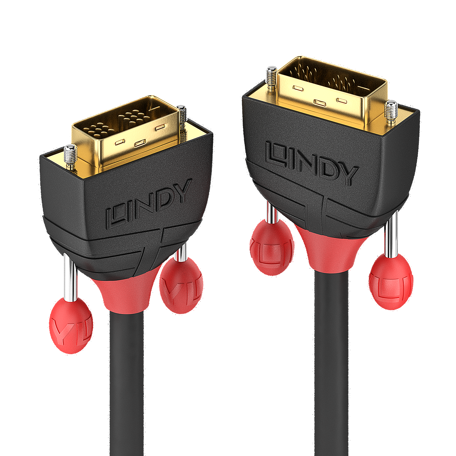 Lindy Black Line DVI-Kabel (36257)