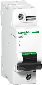 Schneider Electric A9N18492 Stromunterbrecher 1 (A9N18492)