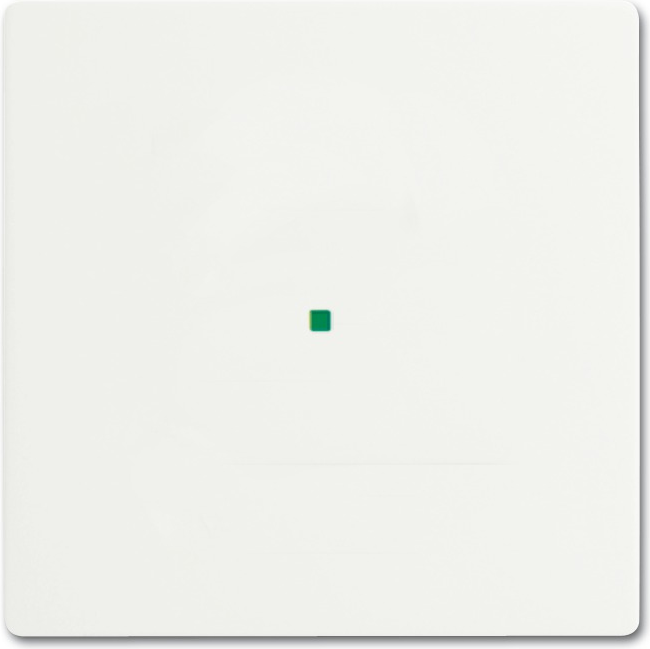 Busch-Jaeger 2CKA006220A0481 Abdeckplatte für Sensorhalterung & -sockel Weiß (2CKA006220A0481)