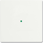 Busch-Jaeger 2CKA006220A0481 Abdeckplatte für Sensorhalterung & -sockel Weiß (2CKA006220A0481)