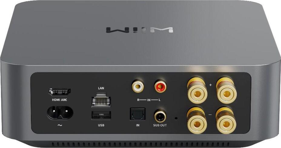 WiiM LPWIAMPP Amp Pro, Multiroom-Streaming-Verstärker, Dark Gray (LPWIAMPP)