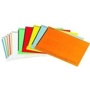 Esselte Etiquettes pour dossiers suspendus, pour armoire (326400)