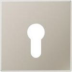 Jung Abdeckung eds für Schlüsselschalt. ES 2925 (ES2925)