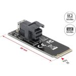 Delock Adapter M.2 Key M zu SFF-8643 NVMe 2260 (61070)