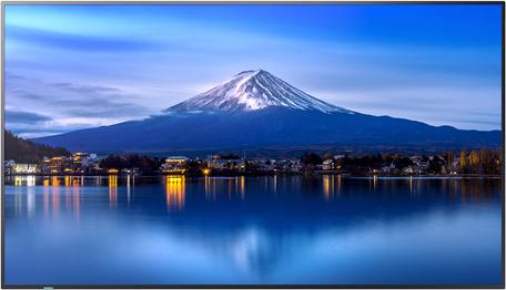 Sharp MultiSync P436 42,5" 4K UHD LCD Digital Signage Display Schwarz