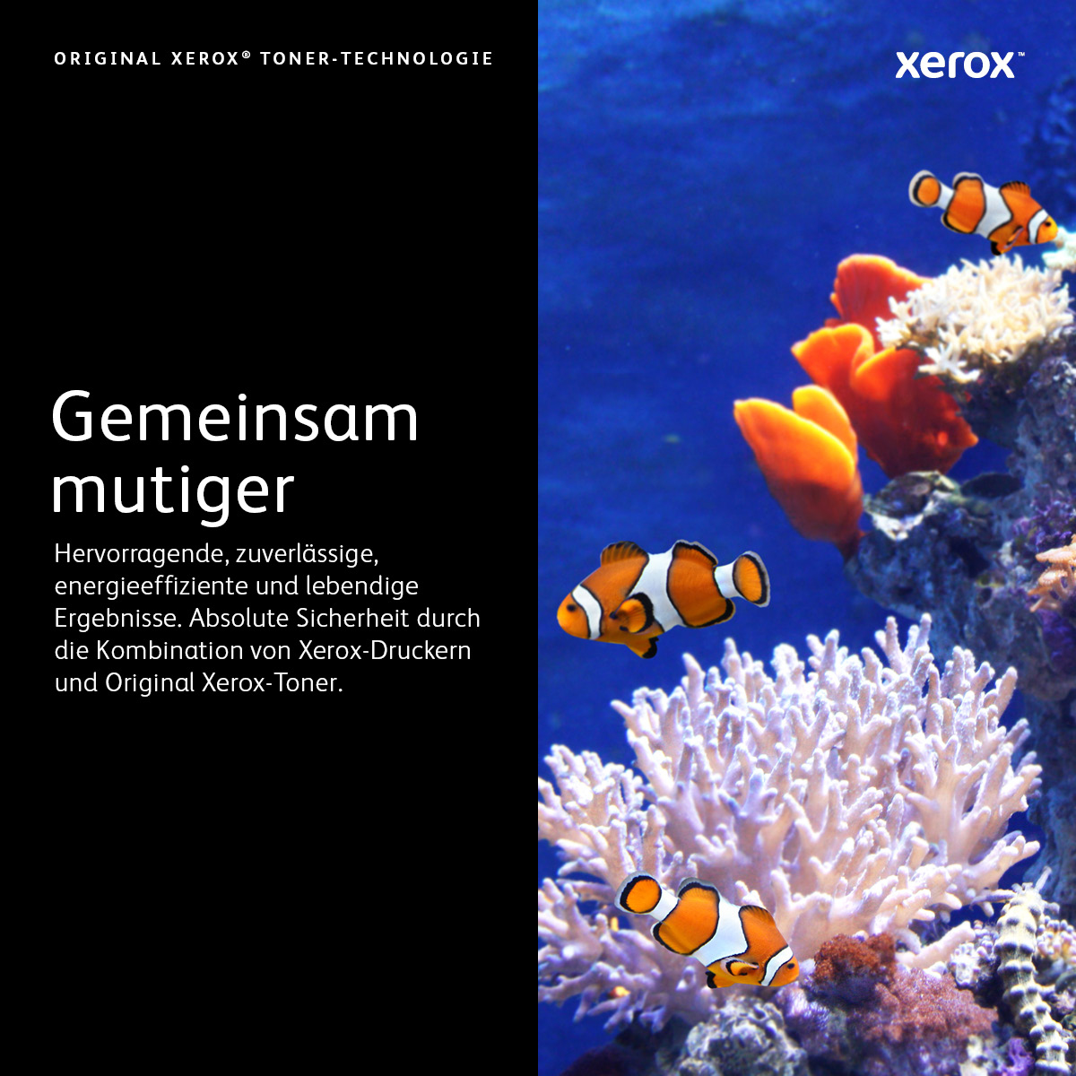 Xerox VersaLink 113R00779 Trommelkartusche Schwarz