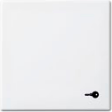 Busch-Jaeger 1731-0-2012. Produktfarbe: Weiß, Markenkompatibilität: Busch-Jaeger, Kompatibilität: Busch-balance® SI (1731-0-2012)