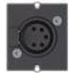 Bachmann Custom Module 1 x XLR socket (917.101)