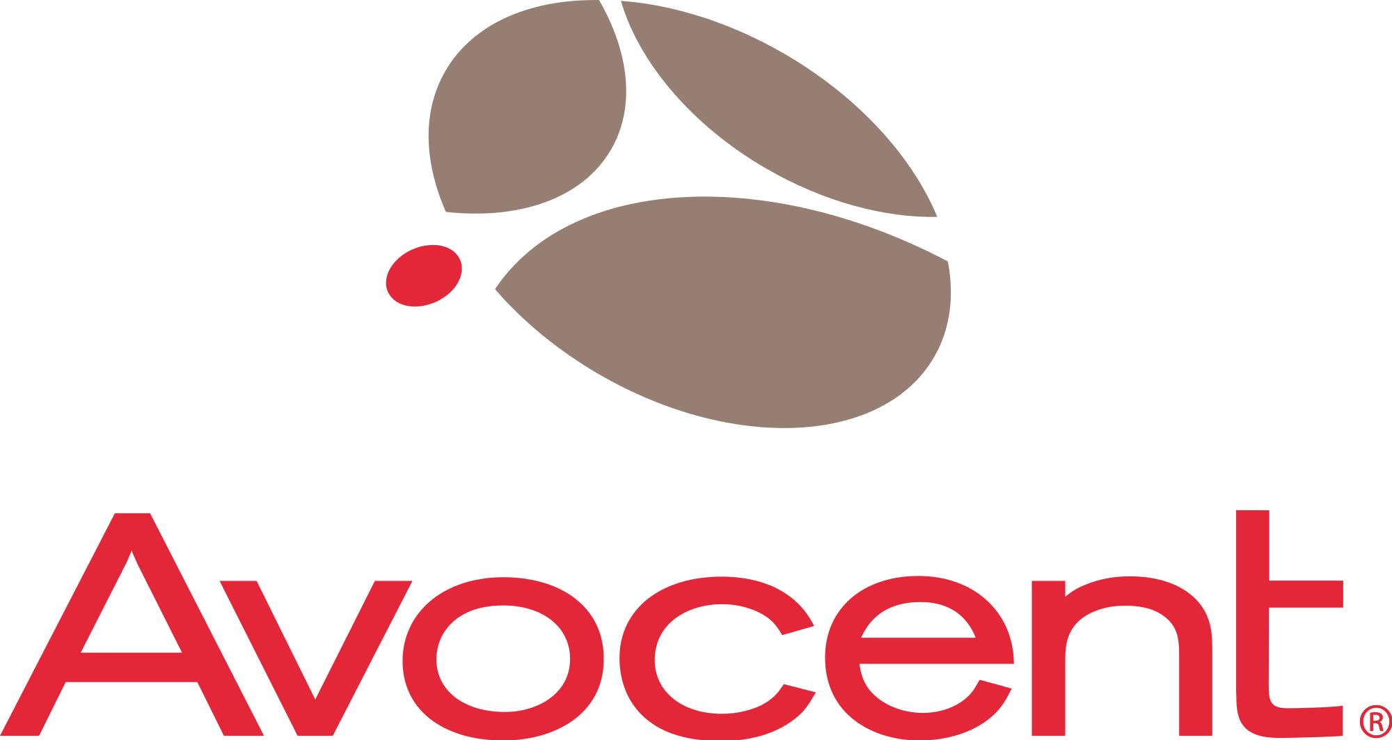 Vertiv Avocent Data Center Planner (DCP-L1-49-V040)
