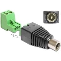 DeLOCK Adapter DC 2,1 x 5,5 mm male > Terminal Block - Netzteil - Gleichstromstecker 2,1 mm (W) - 2-polige Klemmleiste (65423)