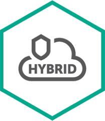 Kaspersky Hybrid Cloud Security Enterprise Server (KL4253XAQTR)