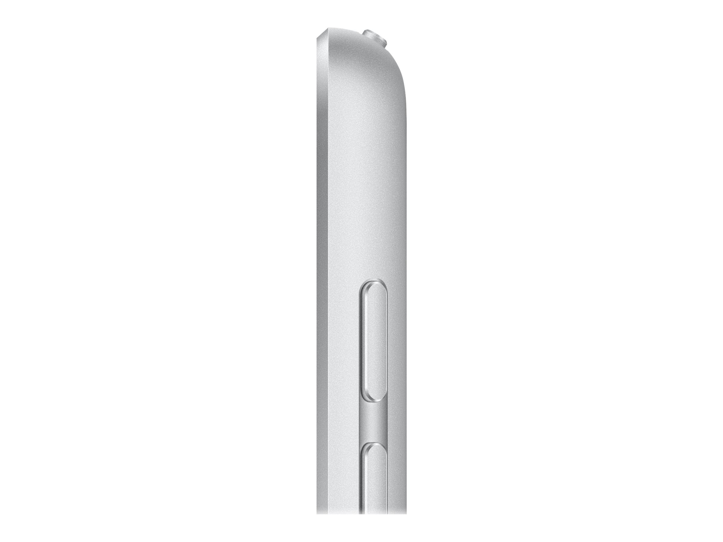 Apple iPad 10.2" Wi-Fi 256 GB Silber