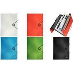 LEITZ Projektmappe Solid, A4, PP, 6 Fächer, hellgrün 5 Fächer mit Beschriftungstaben inkl. Beschriftungsschild - 1 Stück (4579-10-50)