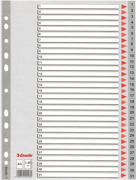 Esselte Kunststoff-Register, Zahlen, A4, 1-31, grau 31-teilig, PP, 0,12 mm, mit beschriftbarem Deckblatt aus - 1 Stück (100108)