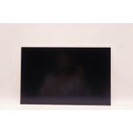 Lenovo DISPLAY AUO 16.0 WUXGA IPS AG (5D10V82410)