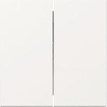 GIRA Wippe 349503 2f gerade Sys.55 rws (349503)