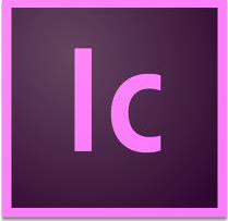 Adobe InCopy CC for teams (65297675BA03A12)