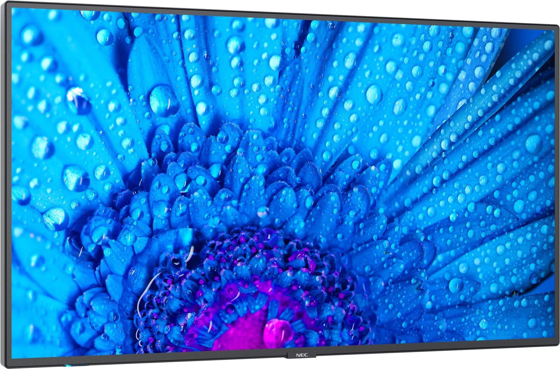 NEC MultiSync M651 Digital Signage Display 65" IPS 4K Ultra HD Schwarz