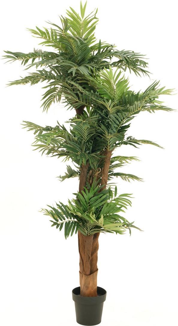 EUROPALMS Areca Palme, Kunstpflanze, 170cm (82509408)