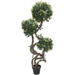 EUROPALMS Ficus Multi Spiralstamm, Kunstpflanze, 160cm (82501563)