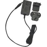 HYTERA Netzadapter für Schnell-Ladegerät Dual UK- und Euro-Standardstecker für HP785 HP705 HP685 HP795Ex BD505 BD615 BP565 PT890Ex (PS1044)
