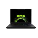 Schenker XMG Apex 16 MAX M25qbv 10506516 Gaming-Notebook 40,6 cm (16") 2560x1600 (10506516)