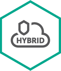 Kaspersky Hybrid Cloud Security Server (KL4255XATFR)