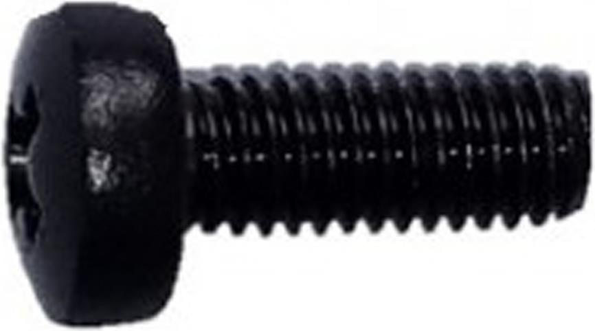 SCHROFF Linsenschraube M6, verzinkt, schwarz - LINSENSCHRAUBE M6X16 100ST (21100650)