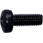 SCHROFF Linsenschraube M6, verzinkt, schwarz - LINSENSCHRAUBE M6X16 100ST (21100650)