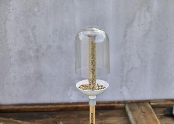 Gardena ClickUp! Vogelhäuschen Transparent - Weiß Acryl (11380-20)