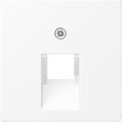 Jung Abdeckung f.IAE/UAE-Anschlussd A569-1BFPLUAWWM (A569-1BFPLUAWWM)