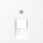 Jung Abdeckung f.IAE/UAE-Anschlussd A569-1BFPLUAWWM (A569-1BFPLUAWWM)