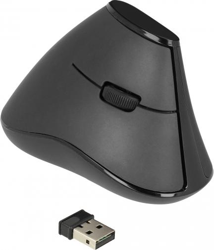 Delock Ergonomic Vertikale Maus Kabellos 2,4 GHz 5 Tasten Lautlos Schwarz