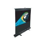 Elite Screens Koffer Beamerleinwand 16:9 267*150cm MaxWhite (F120NWH)