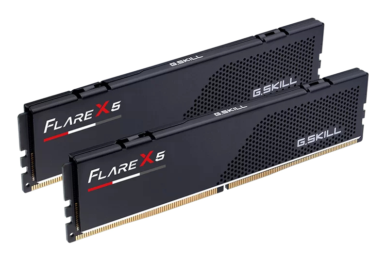 G.Skill Flare X5 F5-6000J2836G16GX2-FX5 32 GB DDR5-6000 CL28 Schwarz