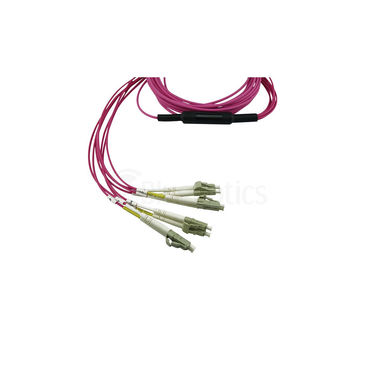 BlueOptics MCA7J60-C005-BO LWL Breakout Patchkabel MPO/UPC 4x LC/UPC OM4 5 m Magenta