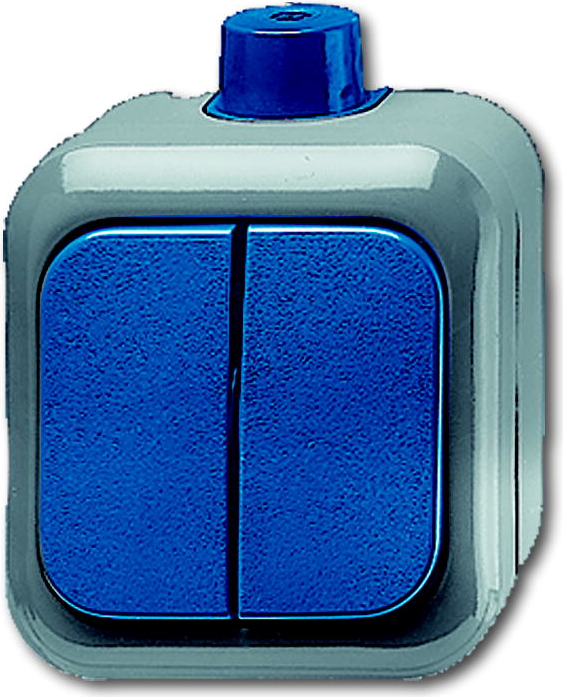 Busch Jaeger 1084-0-0839 Lichtschalter Blau - Grau (1084-0-0839)