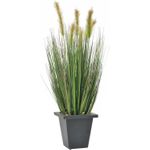 EUROPALMS Moorgras im Dekotopf, künstlich, 60cm (82505862)