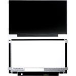 CoreParts MSC116H30-173G Notebook-Ersatzteil Anzeige (MSC116H30-173G)