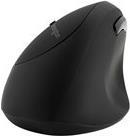 Kensington Pro Fit Ergo Wireless Mouse (K79810WW)