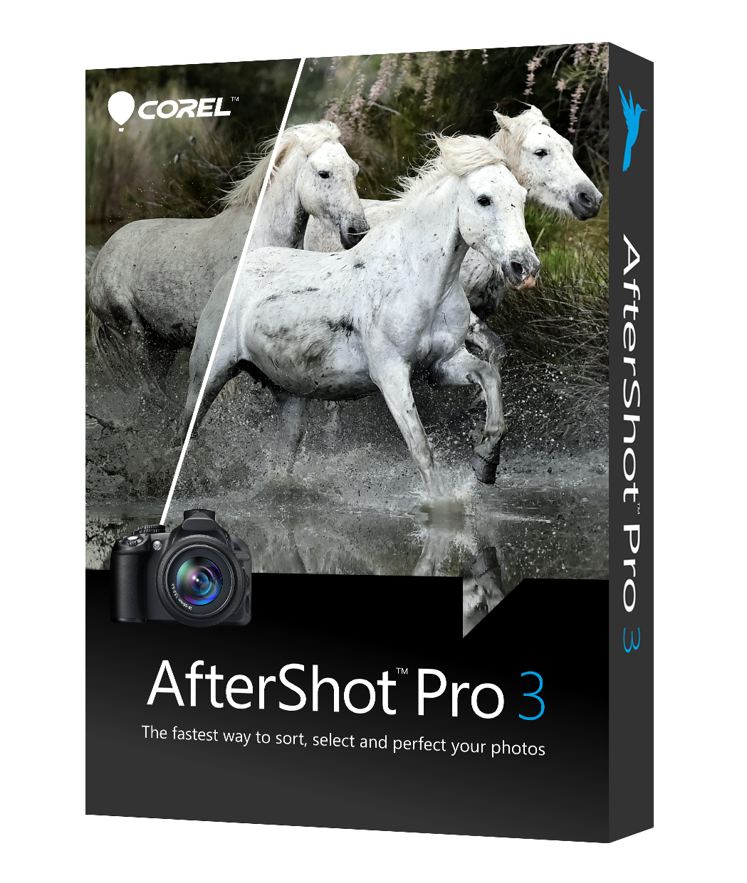 Corel AfterShot Pro (ESDASP3MLPC)