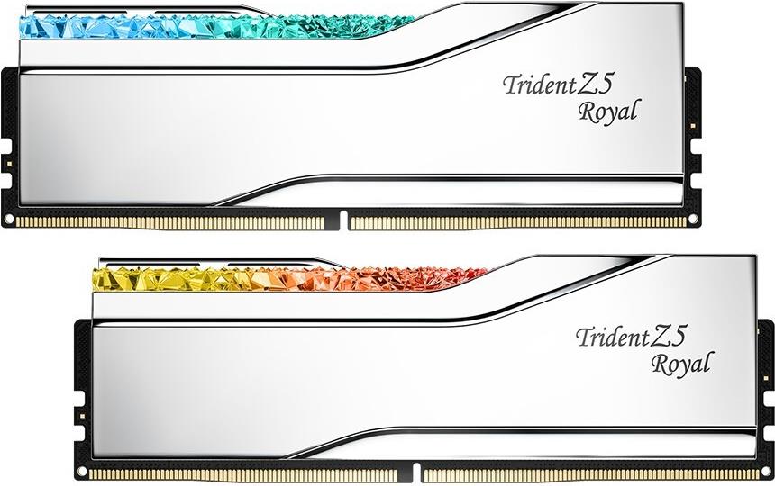 G.Skill DIMM 32 GB DDR5-6400 (2x 16 GB) Dual-Kit	 (silber, F5-6400J3039G16GX2-TR5NS, Trident Z5 Royal Neo, AMD EXPO) (F5-6400J3039G16GX2-TR5NS)