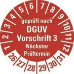 HEIN Industrieschilder HEIN 185658 Prüfpl.DGUV3 NP26-31 r PF O20mm 500/RO (185658)