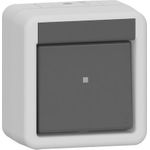 GIRA Wippschalter 310630 AusWe WG AP gr (310630)