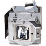 ViewSonic RLC-115 Projektorlampe (RLC-115)