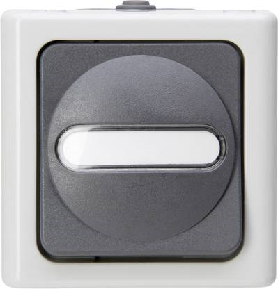 Kreuzschalter AP-Feuchtraum BLUE ELECTRIC grau 10A, 250V (560756009)