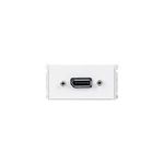Vivolink WI221268 Steckdose DisplayPort Weiß (WI221268)