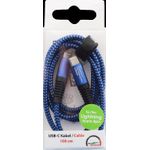 2GO 797196 USB Kabel 1 m USB C Lightning Blau (797196)