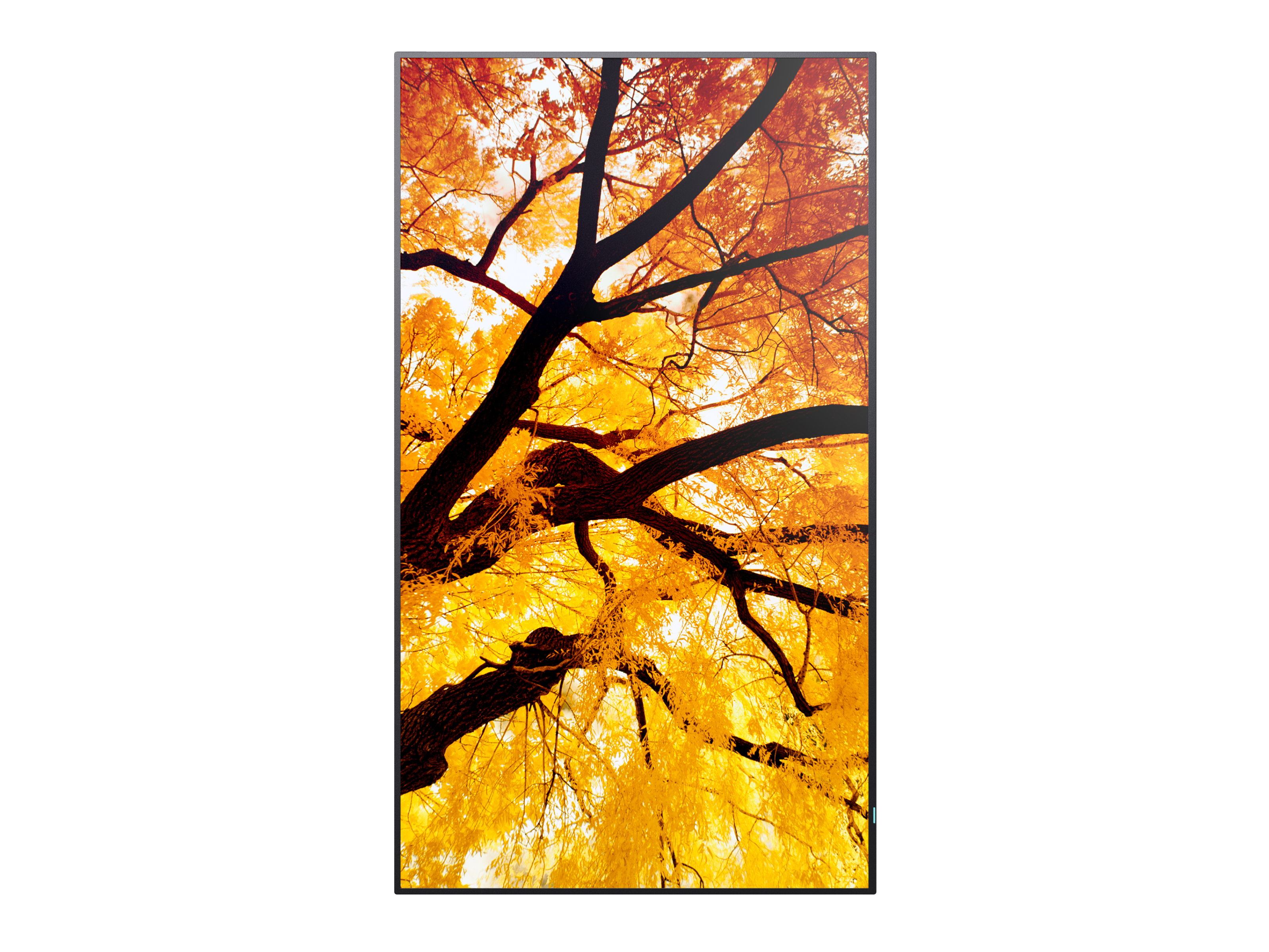 NEC MultiSync PN-M982 98" 4K UHD Digital Signage Display Schwarz